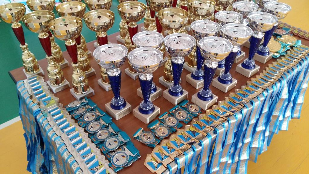 Более 300 спортсменов приняли участие на открытом Республиканском турнире в Акмолинской области