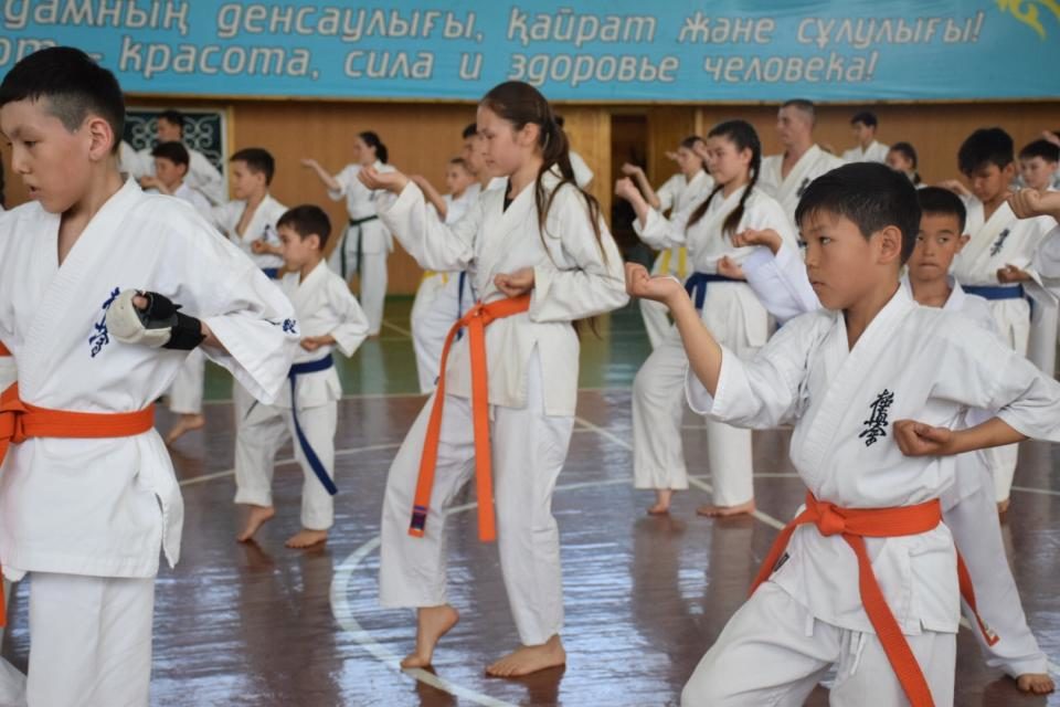 В Западно-Казахстанском филиале Национальной Федерации Киокушинкай-кан каратэ успешно прошла весенняя аттестация